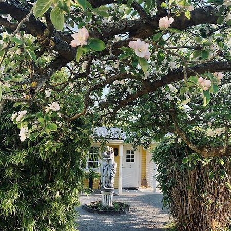 Villa Sol B&B And Hostel Borgholm Eksteriør billede