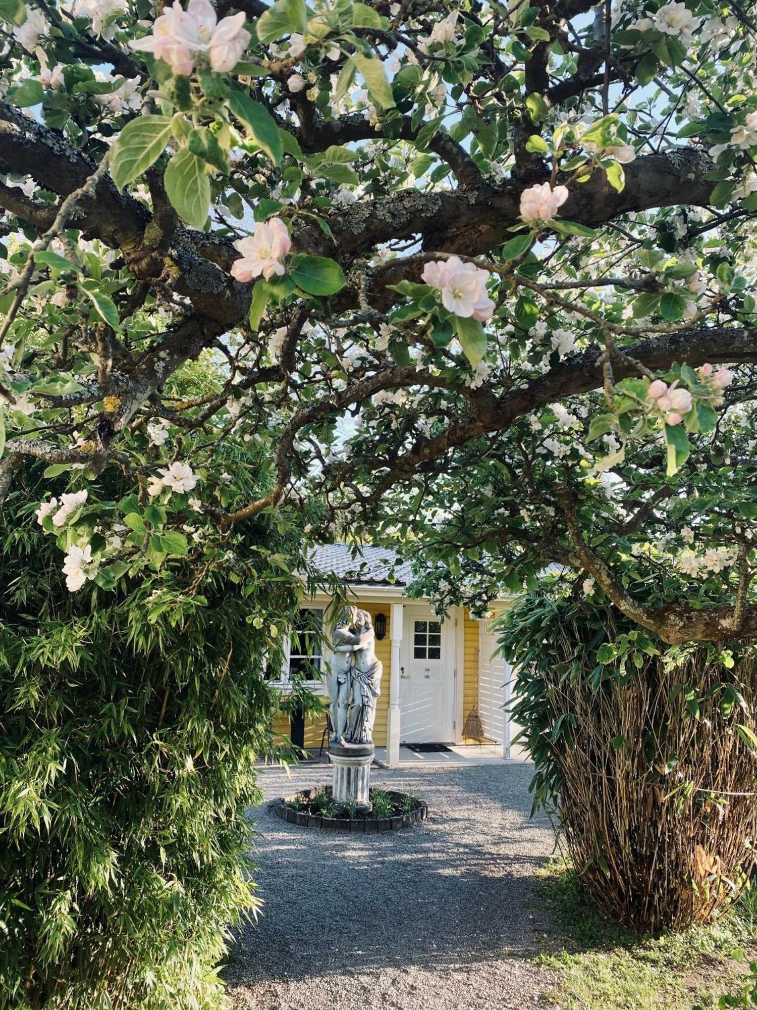 Villa Sol B&B And Hostel Borgholm Eksteriør billede